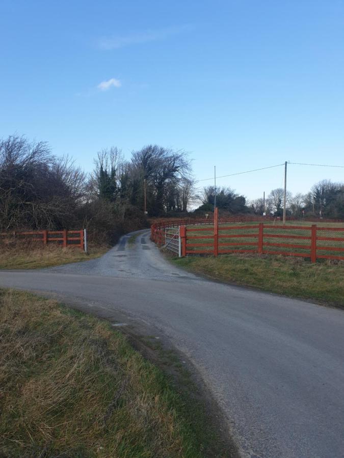 Red Squirrel Lodge Galway Exterior foto